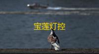 宝莲灯控